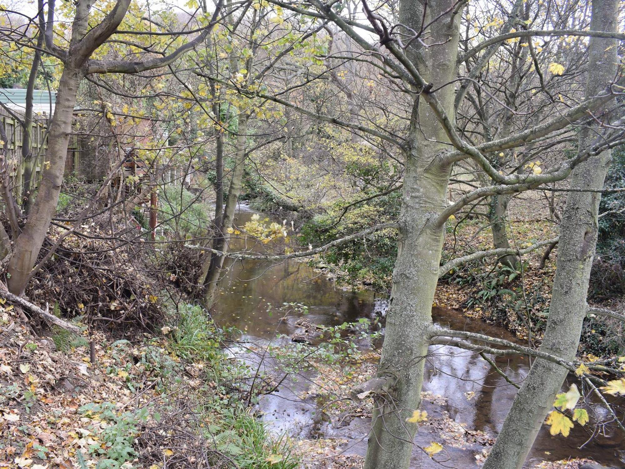 Pheasant Lodge Staithes Luaran gambar