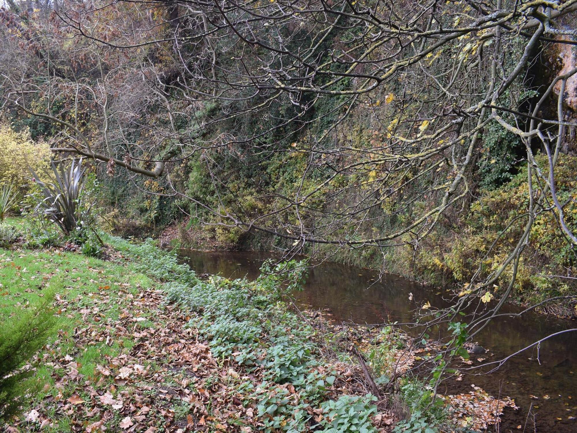 Pheasant Lodge Staithes Luaran gambar